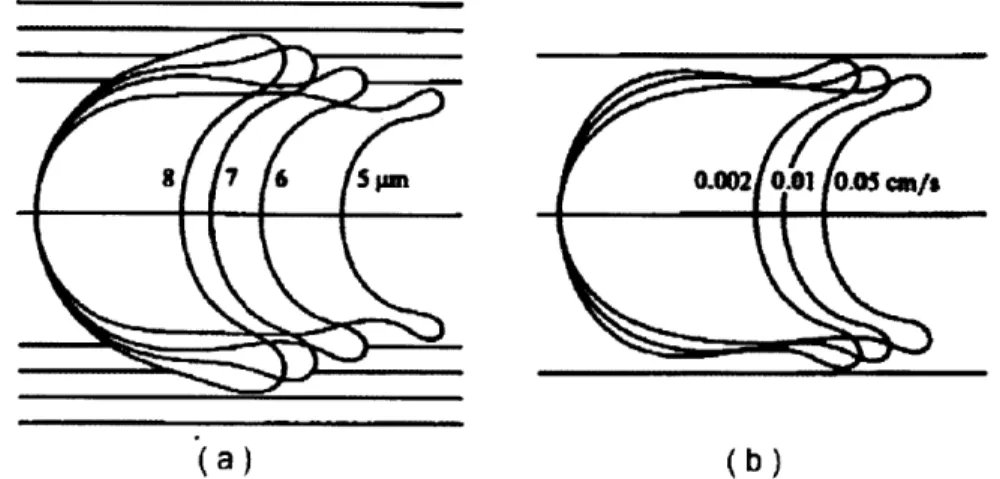 Figure  2-7:  Steady-state  shapes  of  axisymmetric  cells  flowing  through  cylindrical tubes