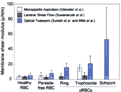 Figure  2-10:  Membrane  shear  modulus  of  P.f.  malaria  as  a  function  of  intra- intra-erythrocytic  stage  (Taken  from  Mills  [66])