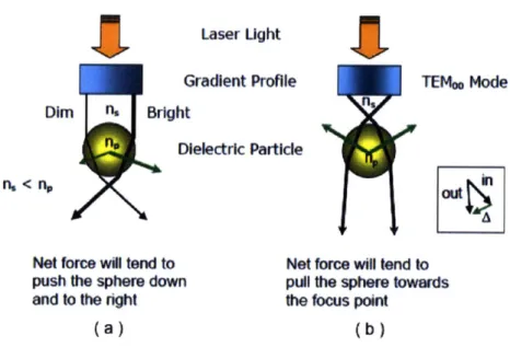 Figure  2-11:  Ray  optics  representation  of  optical  trapping.  (a)  Unstable  trapping with  a  non-Gaussian  beam,  (b)  Stable  trapping  with  a  Gaussian  beam