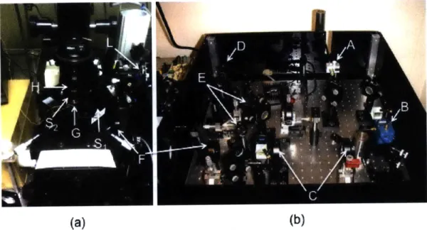 Figure  3-1:  Optical  trapping  system  implemented  and  used  in  this  work,  separated by  (a)  the  specimen  plane,  condenser  and  position  sensing  branch  and  (b)  the  trap, detection laser and supporting alignment and beam steering  optics