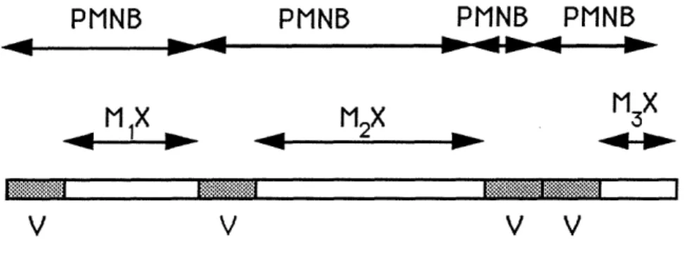 Figure  1:  The  dynamic  broadcasting scheme.  Each PMNB  interval consists  of  two  intervals:  a reservation  interval (marked by  gray)  of duration V,  and a broadcast  interval of  duration MX,  where  M  is the number  of active  nodes  at the  sta