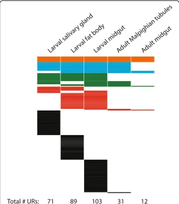 Fig. 1 Comparison of UR regions across larval and adult tissues. Each row represents a distinct UR region present in both biological replicates performed for each tissue (172 URs in total across all five tissues)