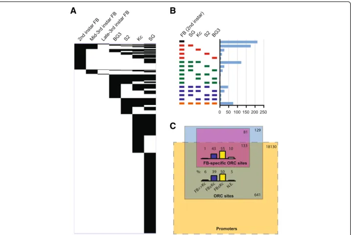 Fig. 3 Comparative ORC2 binding analysis across Drosophila tissues and cell culture lines