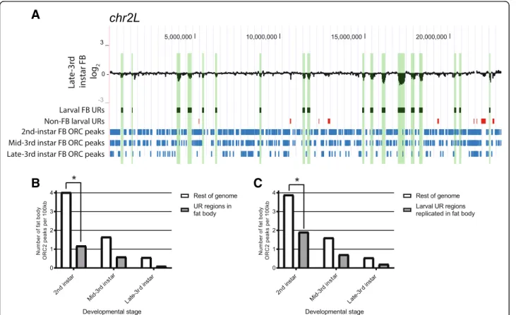 Figure S4). Moreover, these regions correspond to areas of low density of ORC binding in diploid cells in culture that are known to replicate late in S phase (Additional file 5: Figure S4) [5, 6, 25]