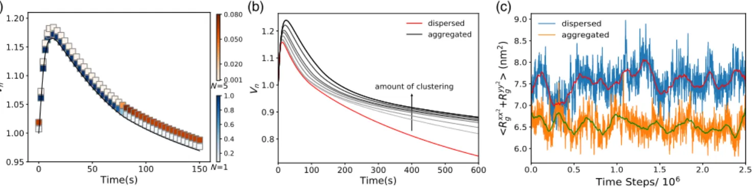 FIG. 4. Clustering regulates channel closing to prevent leaky cell membrane. (a) Normalized cell volume V n (gray line) at 0.96 Osmol hypoosmotic shock and 0.5% channel packing fraction