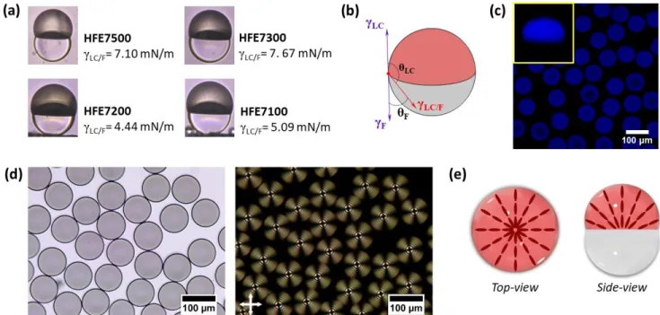 Figure  1.  Characterization  of  the  Janus  “snowman-shaped”  droplets:  (a)  Side-view  microscope  images  and  γ LC/F   interfacial  tension  varying  the  fluorocarbon  phase