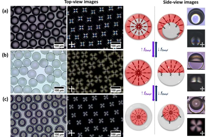 Figure 3. Complex emulsions with a radial alignment of the LC molecules: polarized-light optical microscopy images without  (left) and with (right) crossed polarizers of 5CB-HFE7200 droplets that reconfigure in response to variation in the mass ratio of  h