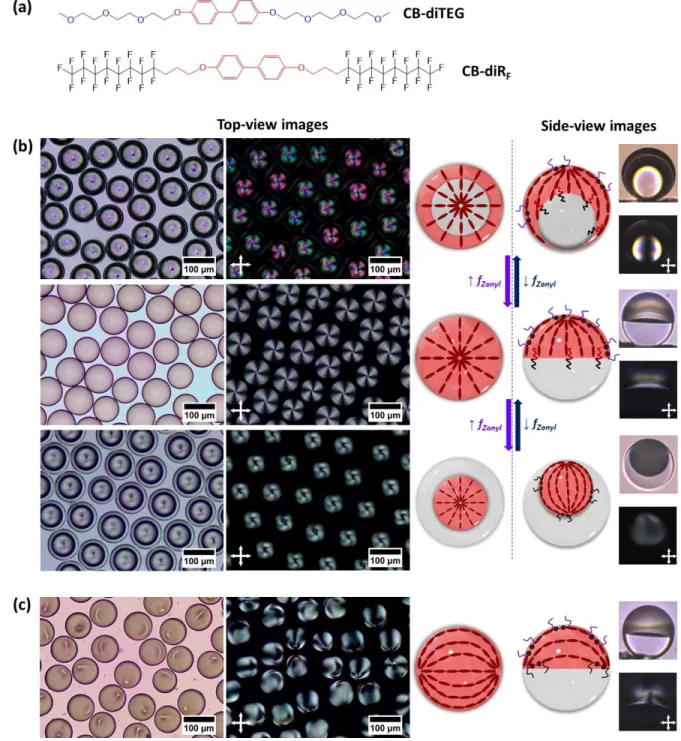 Figure 5. Complex emulsions with a planar alignment of the LC molecules: (a) Chemical structures of the surfactants used to  induce  a  planar  alignment