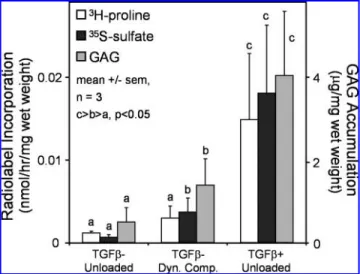 FIG. 1. Extracellular matrix synthesis in response to dy- dy-namic compression in the absence of transforming growth factor beta (TGF b ) after 21 days of culture