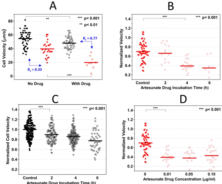 Figure 2. Artesunate (ART) effect on iRBC/uRBC dynamic deformabilities