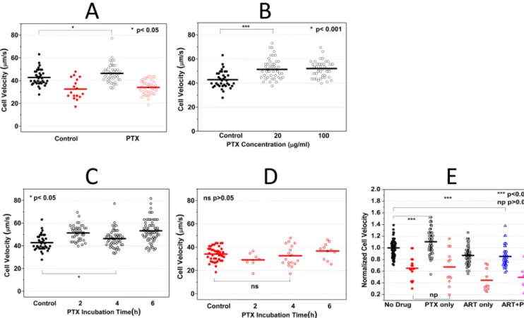 Figure 4. Pentoxifylline (PTX) effect on iRBC/uRBC dynamic deformabilities A. 100 μg/ml PTX was added to the RPMI cell culture medium containing 0.1 % hematocrit