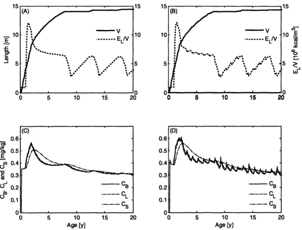 Figure  2-5:  Energy  and  toxicant  distribution  for a  female  in  a  constant  (plots  (A) and  (C)) and fluctuating  (plots  (B) and  (D)) environment