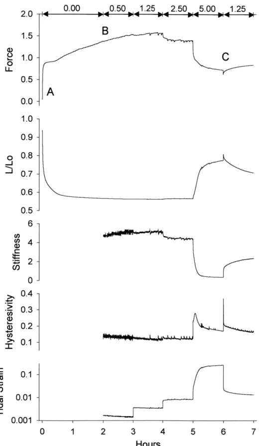 Figure  3.  Evolution  of mechanical  properties  of a representative  muscle during  contraction  against  a steady mean  transpulmonary  pressure  of 5cmH20  upon which  is superimposed  pressure  fluctuations  (0.2Hz)  of graded
