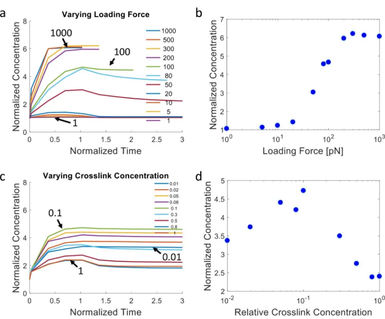 Fig 4. ECM recruitment profiles from discrete network simulations showing dependence on loading forces and crosslink concentration