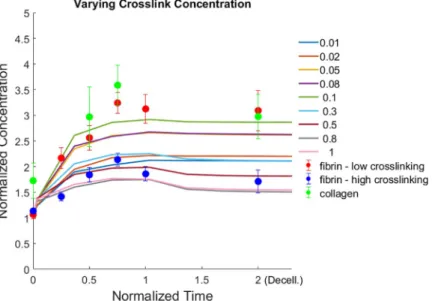 Fig 6. Comparison of simulations and experiments. Experimental profiles for fibrin and collagen intensities over time are compared with simulations for varying crosslink concentration