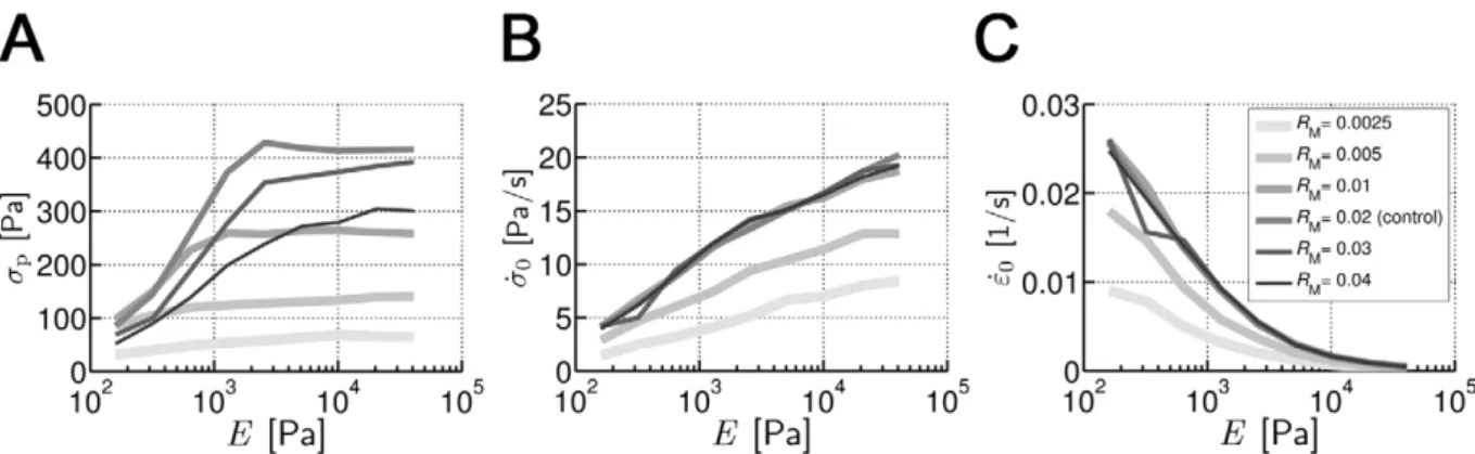 Figure 3. Influences of motor concentration ( R M ). (A) s p (E) with various R M . With low R M , the tendency of an increase followed by a plateau is less clear