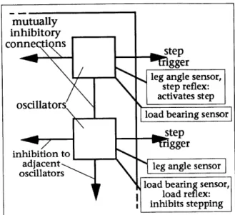 Figure  8:  reflex  feedback  to  the  oscillators  The  oscillators  and  reflexes  trigger the  stepping motor  programs  for  the legs