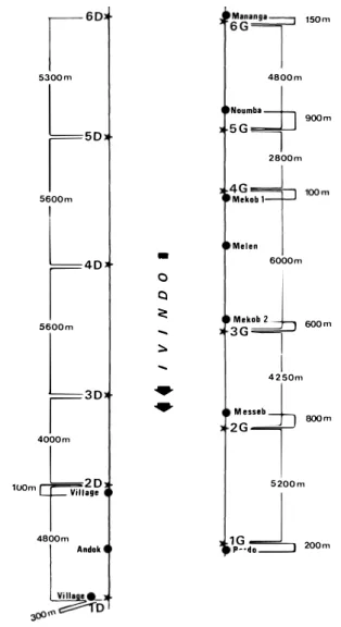 Figure  3.  - Représentation  linéaire  schématique  de  la  rivière  Ivindo. 