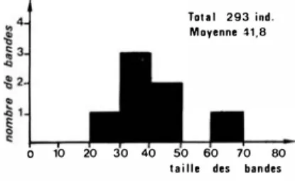 Figure  -L  - Recensement  noctume  de  5  bande s  de  Talapoins  (dont  une  bande  commensale  de  60  à  70  individus)  sur  l'lvindo  et  la  Liboumba