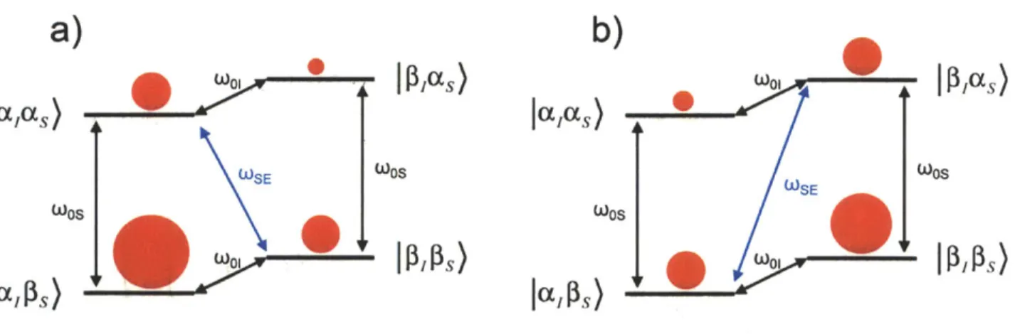 Figure  1.7.  The  solid  effect  after  application  of microwave  at  two  matching  frequencies,  a) the