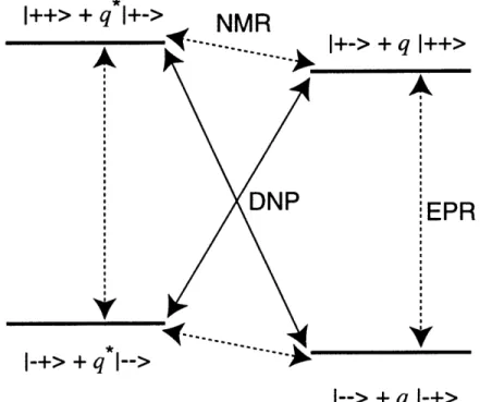 Figure  2.1:  Energy  diagram  of  an  isolated  electron-nuclear  system.  The  electron  and nucleus  are  both  spin  - and  coupled  to  one  another  by  the  dipolar  interaction