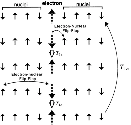 Figure  2.2:  Model  for the  solid  effect  in  a  dilute  electronic  system.  The polarized  via irradiation  of an  electron-nuclear  transition