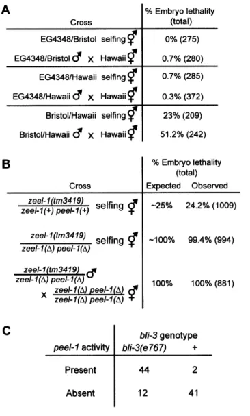 Figure  2-1:  peel-1  and  zeel-1  are  genetically  separable.  (A)  Wild  isolate EG4348  was  crossed  to  Bristol  and  Hawaii,  and  lethality  was  scored  among   em-bryos  collected  from  self-fertilizing  F1  hermaphrodites  and  F1  males  backc