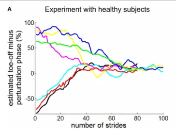 FIGURE 1 | Entrainment of human walking to periodic ankle torque pulses. Panel (A) shows experimental observation of unimpaired subjects (Ahn and Hogan, 2012b)