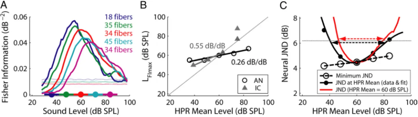Figure 10. Comparison of dynamic range adaptation to broadband noise between IC and AN neurons