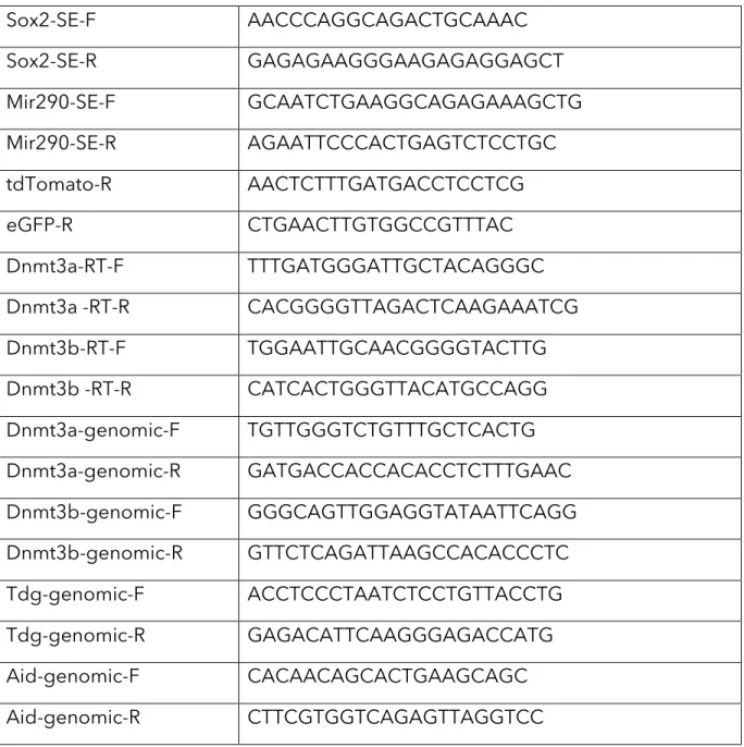 Table S5. Primers for Genotyping  Sox2-SE-F  AACCCAGGCAGACTGCAAAC  Sox2-SE-R  GAGAGAAGGGAAGAGAGGAGCT  Mir290-SE-F  GCAATCTGAAGGCAGAGAAAGCTG  Mir290-SE-R  AGAATTCCCACTGAGTCTCCTGC  tdTomato-R  AACTCTTTGATGACCTCCTCG  eGFP-R  CTGAACTTGTGGCCGTTTAC  Dnmt3a-RT-F 