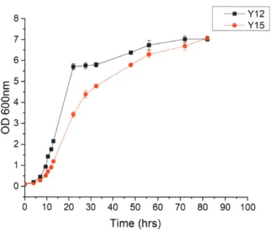 Figure  2-3 Growth  curve  of strain with tTA  system.