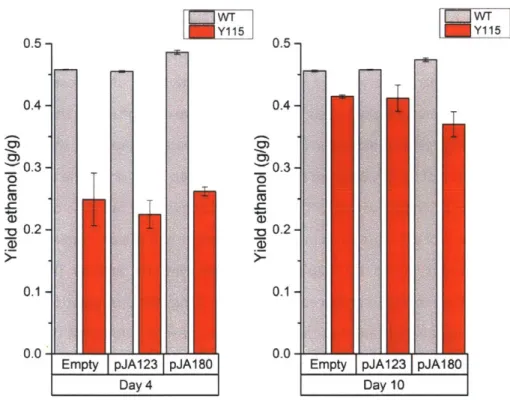 Figure  2-12 Ethanol yield  of WT and Y115 cultures producing  isobutanol.