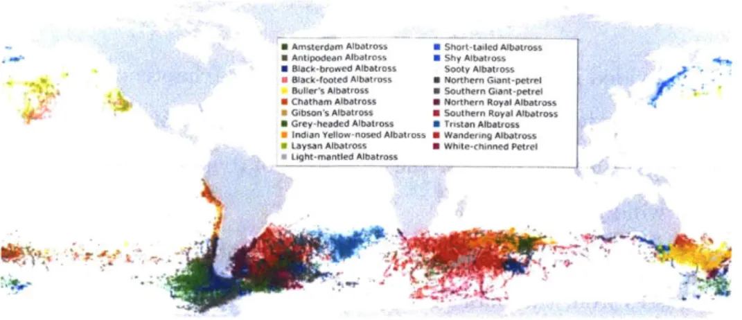 Figure  1-6:  Global  distribution  of  some  albatrosses  species.  Source:  [2]