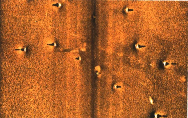 Figure  1-5:  A  sidescan  image  of  targets  observed  during  GOATS  2002  using  a  Klein DS5000  500  kHz  sonar  system