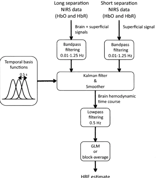 Figure  3-3:  Schematic  of  the  NIRS  data  analysis.  The  NIRS  data  from  both  the 1 cm  and  the  3 cm  separation  channels  were  first  converted  to  HbO  and  HbR  time courses  and  bandpass  filtered