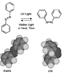 Fig. 1. Photoisomerization of azobenzene.  Figure borrowed from  Shang et al. [6]. 