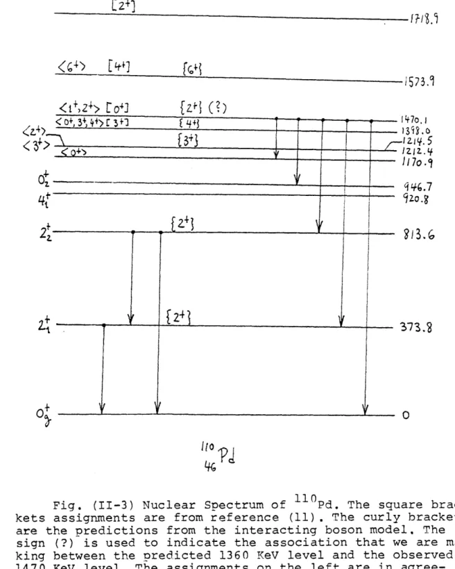 Fig.  (11-3)  Nuclear  Spectrum of  110Pd.  The  square  brac- brac-kets  assignments  are  from reference  (11)