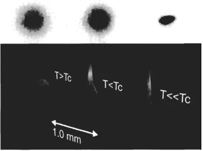 Figure  1-1:  Bose-Einstein  condensation  by  absorption  imaging.  Left:  thermal  dis-  tribution  of  atoms;  middle:  the  bimodal  distribution  of  atoms;  right:  almost  pure  condensate