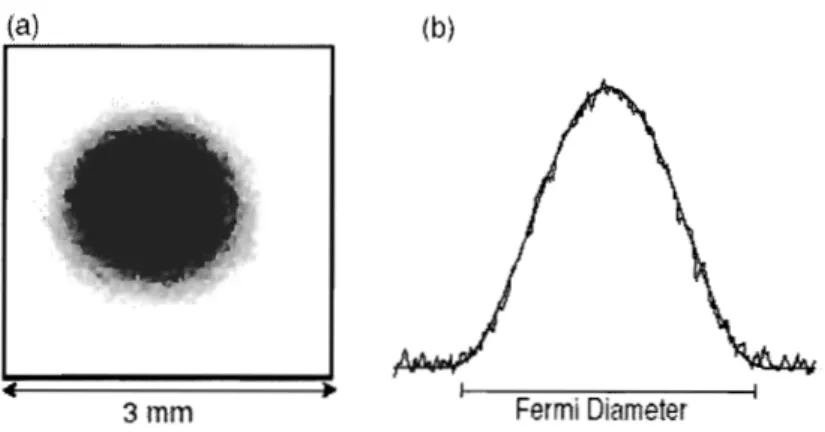 Figure  1-2:  Degenerate  Fermi  gas  by  absorption  imaging:  (a)  Absorption  image  of  6Li atoms; (b) Density  profile of  the atomic cloud extracted from (a)