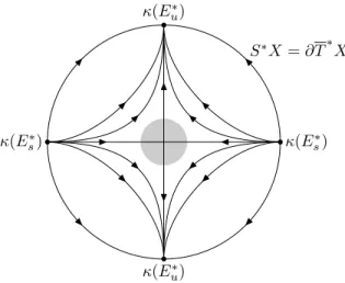 Figure 3. Dynamics of the flow e tH p on {p = 0} = E s ∗ ⊕ E u ∗ ⊂ T ∗ X, projected onto the fibers of T ∗ X