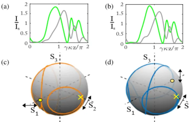 FIG. 4. Evolution of intensities ( j E x j 2 , green and j E y j 2 , gray) for the nonlinear system are shown in (a) and (b) corresponding to a TE and TM input, respectively