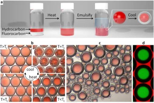 Figure 1. Temperature-controlled phase separation of hydrocarbon and fluorocarbon liquids  can be used to create complex emulsions