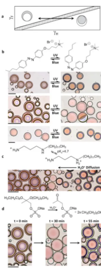 Figure 3. Emulsions reconfigure in response to light and pH