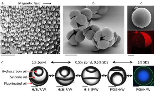 Figure 4. Magnetic complex emulsions, complex emulsions as templates and four-phase  emulsions