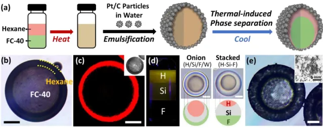 Figure  3.  Production  of  complex  Pickering  emulsions.  (a)  Schematic  illustration  of  the  creation of a double Pickering emulsion based on temperature-induced phase separation of HC  (i.e., hexane) and FC (i.e., FC-40) liquids; (b) bright-field op