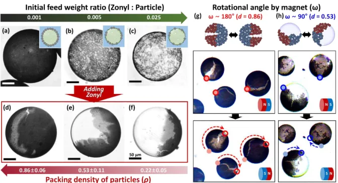 Figure  2. Control  of  packing  density  and  inhomogeneity  of  particle  distribution  on  the  emulsion surface for tunable translational and rotational emulsion motion