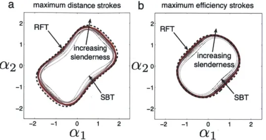 Figure  2-7:  Comparison  of  optimal  a)  distance  and  b)  efficiency  strokes  using  RFT (dashed  line)  and  SBT  for  several  slenderness  ratios  (solid  lines)