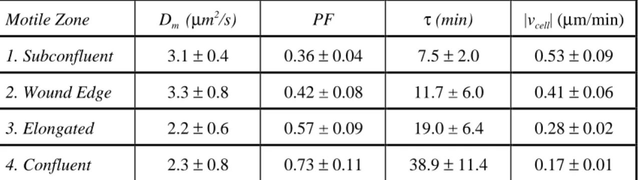 Table 1-1. Endothelial actin dynamics correlate with cell speed. Monomer diffusion coefficient (D m ), polymer fraction (PF), filament turnover time (τ), and cell speed (|v cell |) measured in the different motile zones from Fig