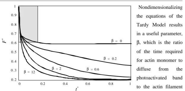 Fig. 2-2.  β  dependence of fluorescence decay. Simulations with the Tardy Model ( γ  = 1; 
