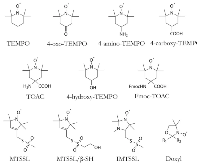Figure 2.1: Common nitroxide probes used to study soft materials.